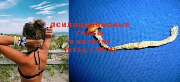 ПСИЛОЦИБИНОВЫЕ ГРИБЫ Ельня