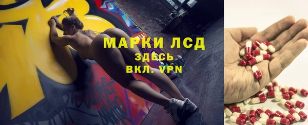 ПСИЛОЦИБИНОВЫЕ ГРИБЫ Ельня