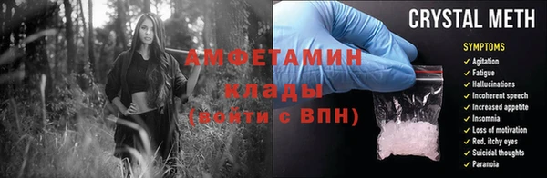 ПСИЛОЦИБИНОВЫЕ ГРИБЫ Ельня