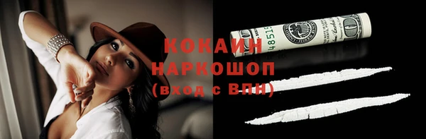 ПСИЛОЦИБИНОВЫЕ ГРИБЫ Ельня