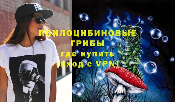 ПСИЛОЦИБИНОВЫЕ ГРИБЫ Ельня