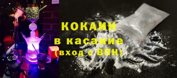 ПСИЛОЦИБИНОВЫЕ ГРИБЫ Ельня