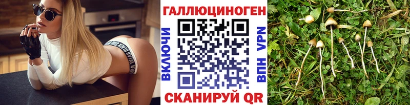 Купить  Суздаль  Галлюциногенные грибы Cubensis 